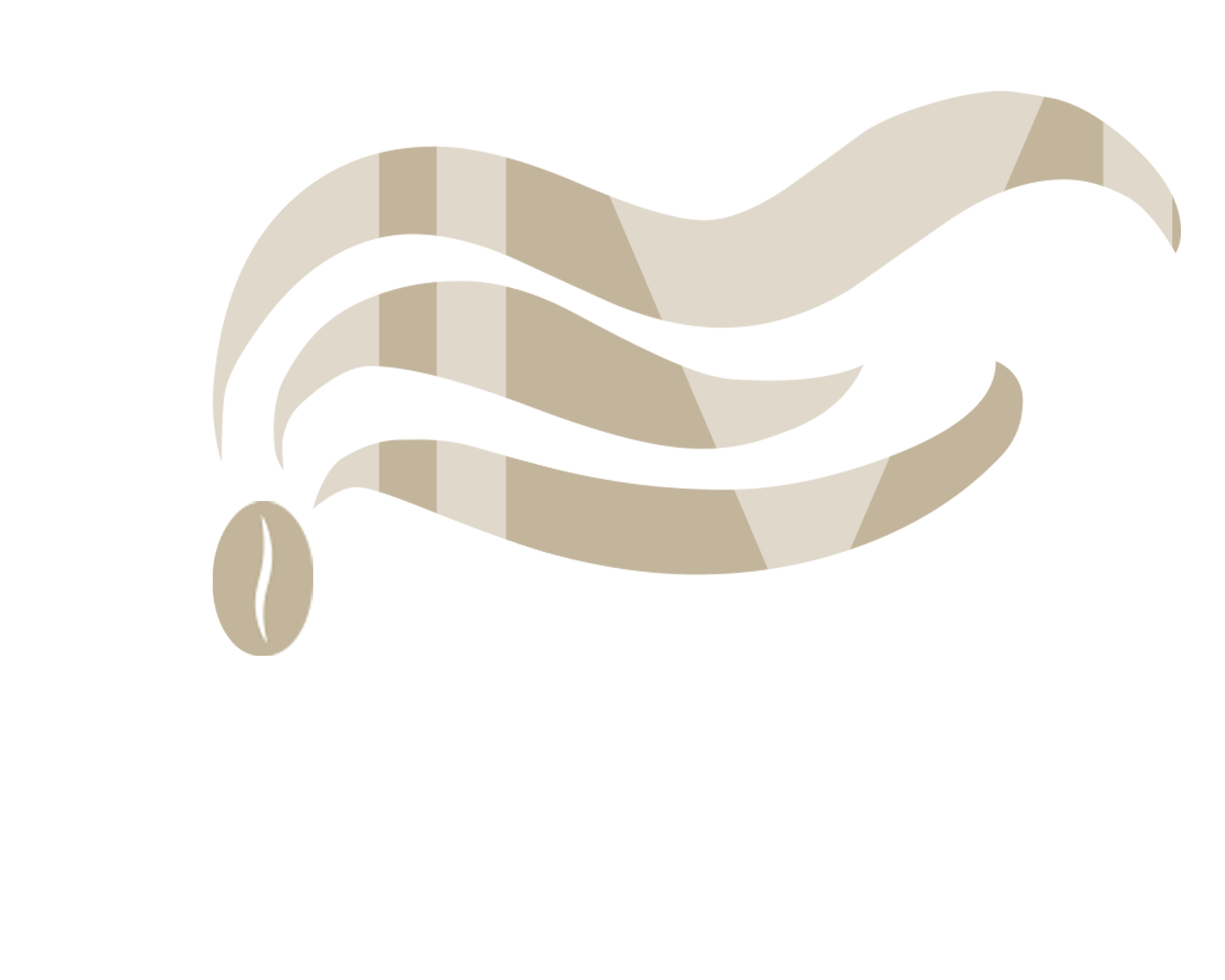 Coffee Roasters For the Modern World – JavaMaster